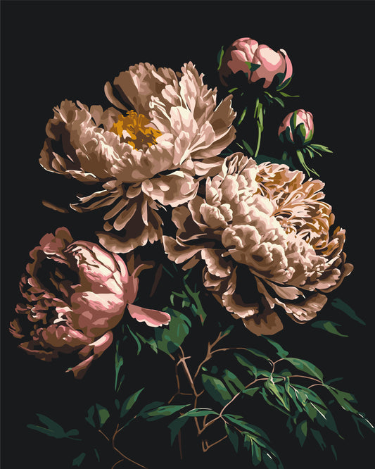 Számfestés kereten 40×50 cm Virágok - Bazsarózsák sötét háttér előtt LW 2003