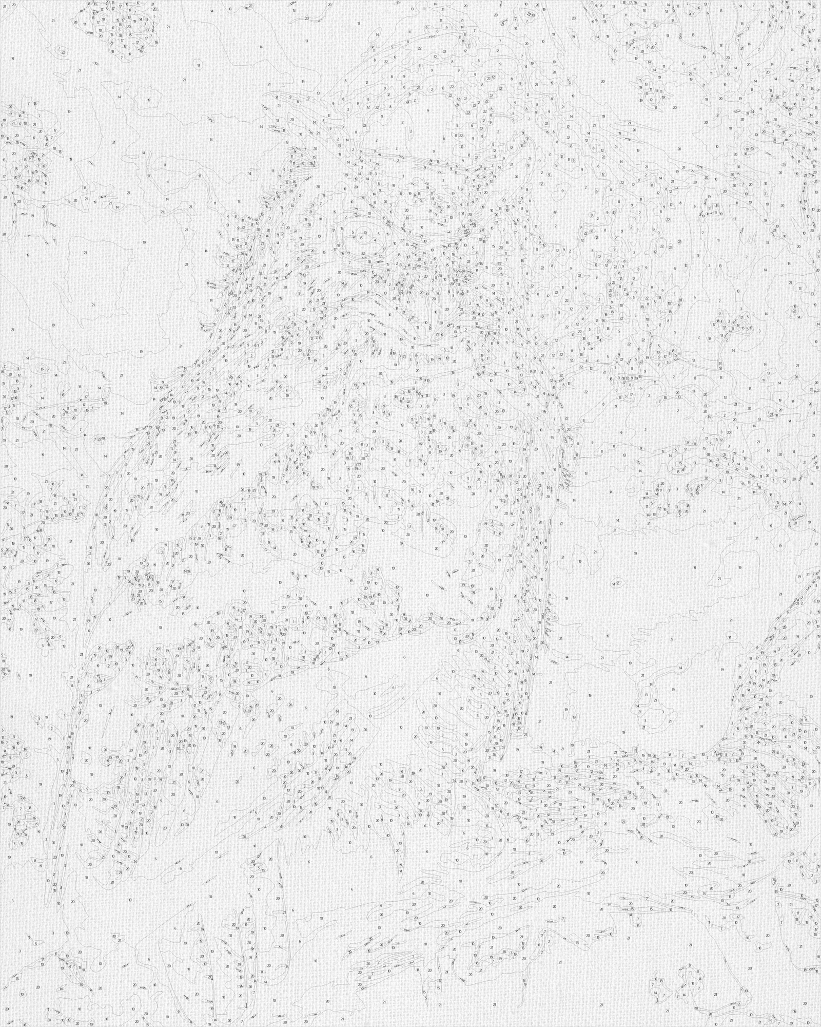 Maľovanie podľa čísel na ráme 40*50 cm – Múdra sova. Zvieratá \ Krajinka - LW 30830