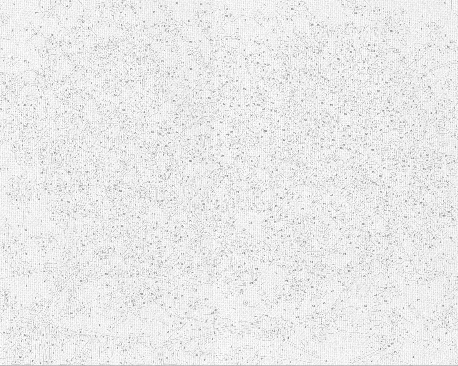 Számfestés kereten 40×50 cm – Virágok. Margarétacsokor LW 31500
