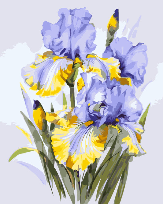 Számfestés kereten 40×50 cm – Íriszcsokor. Virágok LW 31600