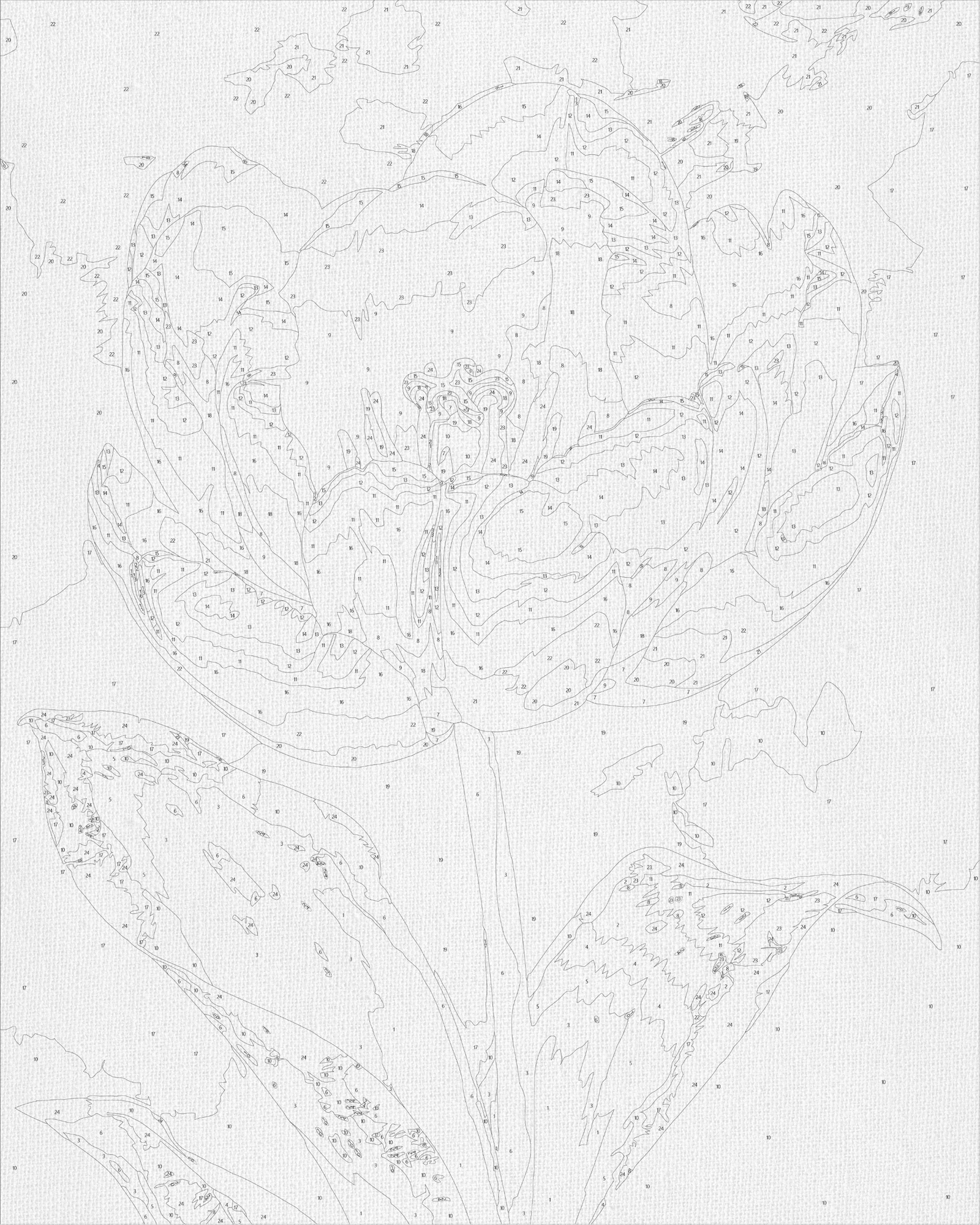 Számfestés kereten 40×50 cm Virágok. Fehér bazsarózsa fémes színekkel LW 3305