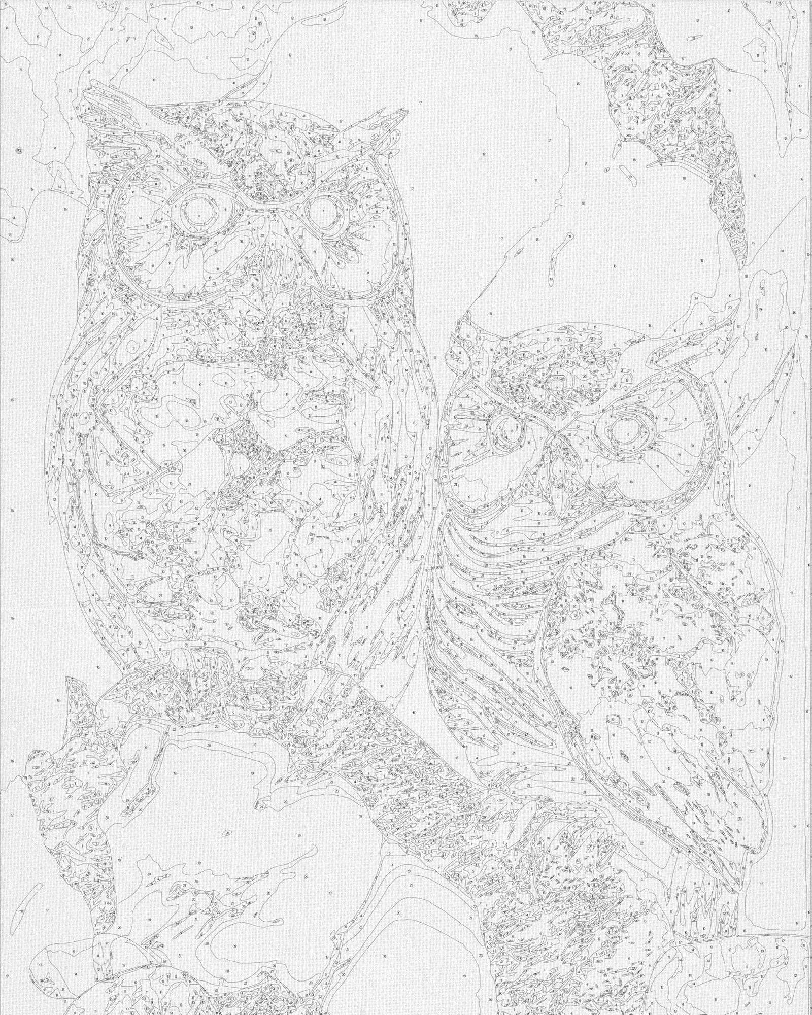 Számfestés kereten 40×50 cm Állatok. Két bagoly fémes színekkel LW 3405