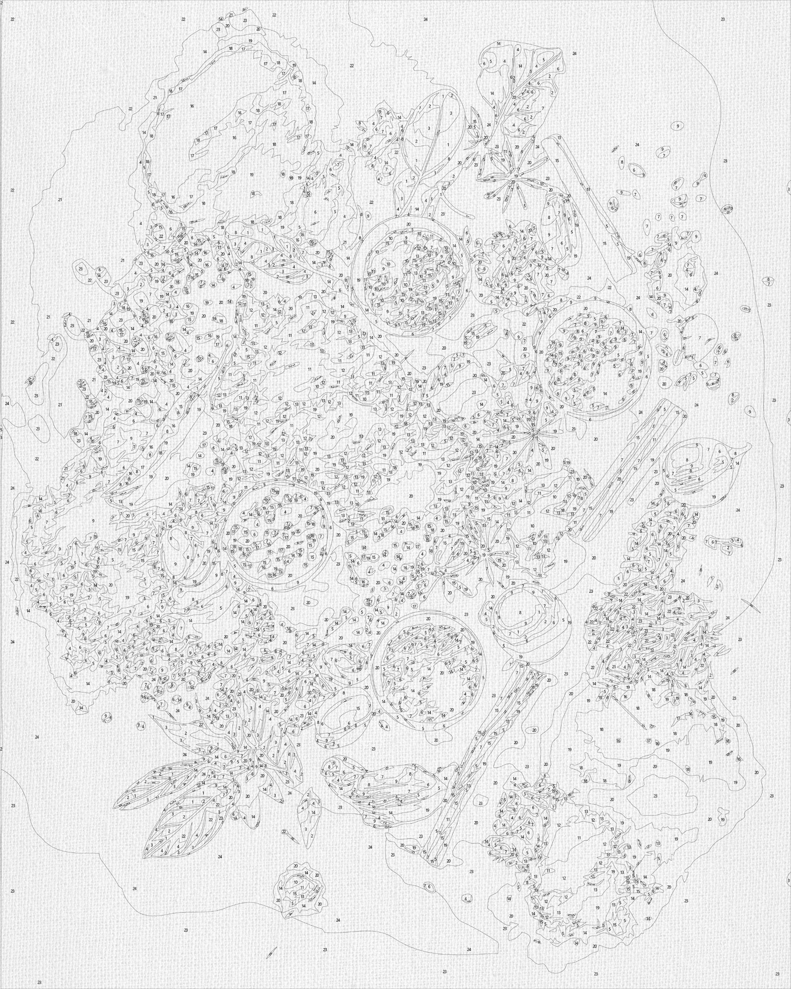 Számfestés kereten 40×50 cm – Csendélet. Világ fűszerei LW 3451