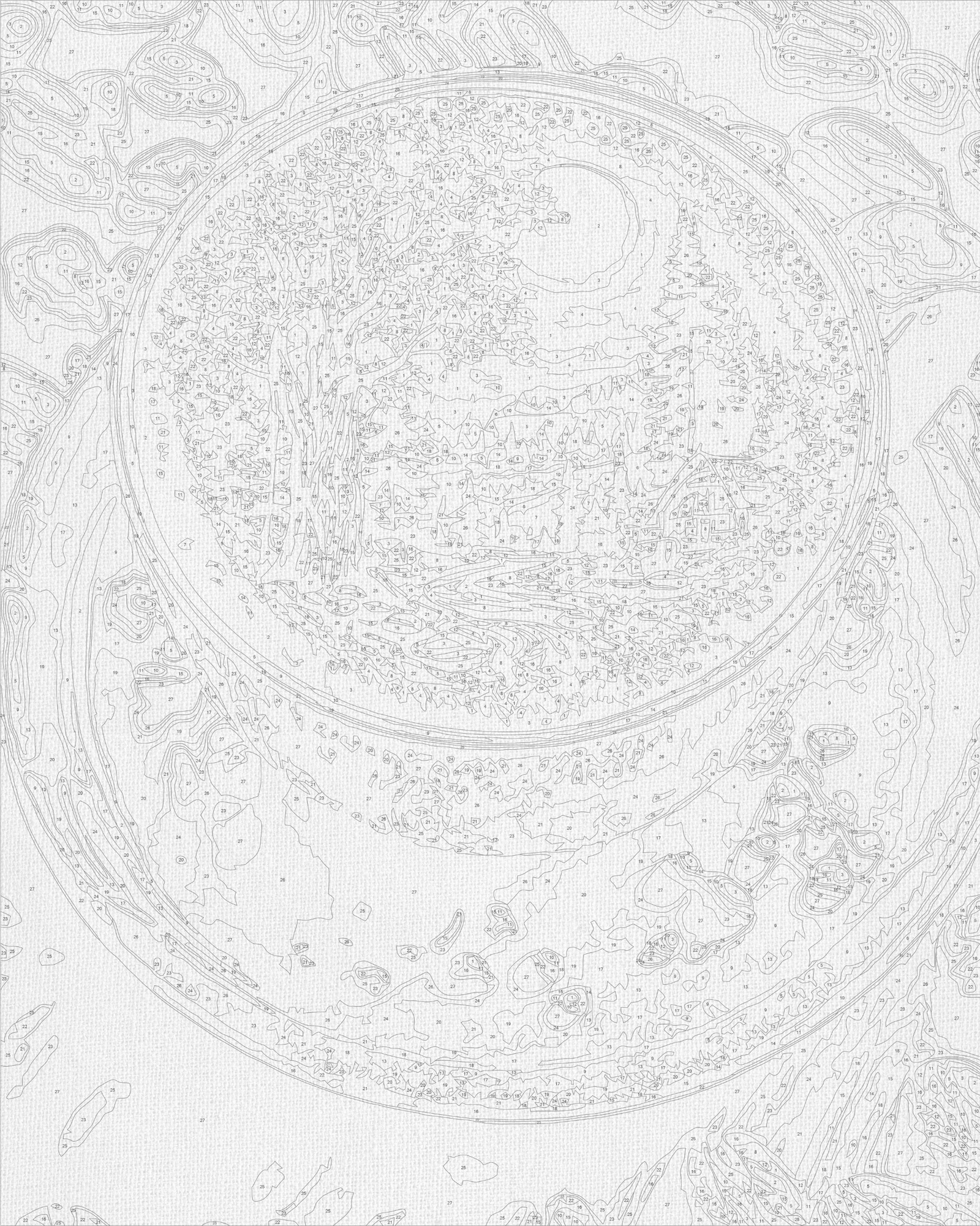 Számfestés kereten 40×50 cm Csendélet. Erdőillatú kávé LW 3541