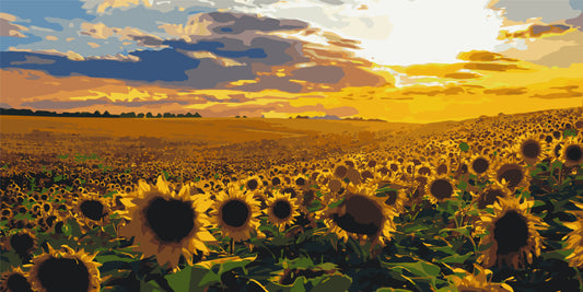 Számfestés kereten 40×80 cm tájkép Napraforgómező LW 5099