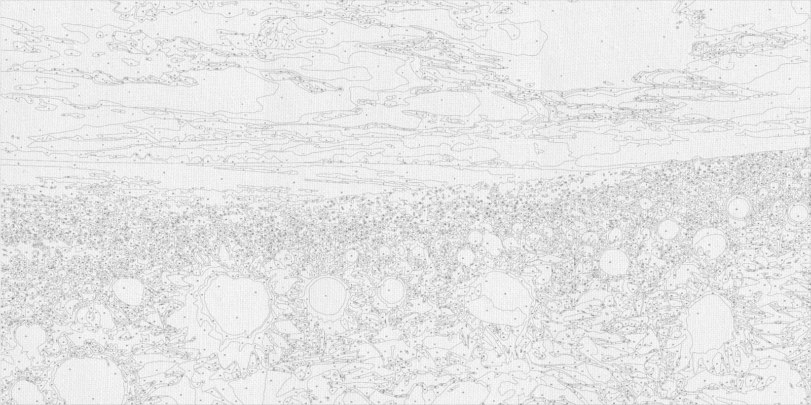 Számfestés kereten 40×80 cm tájkép Napraforgómező LW 5099