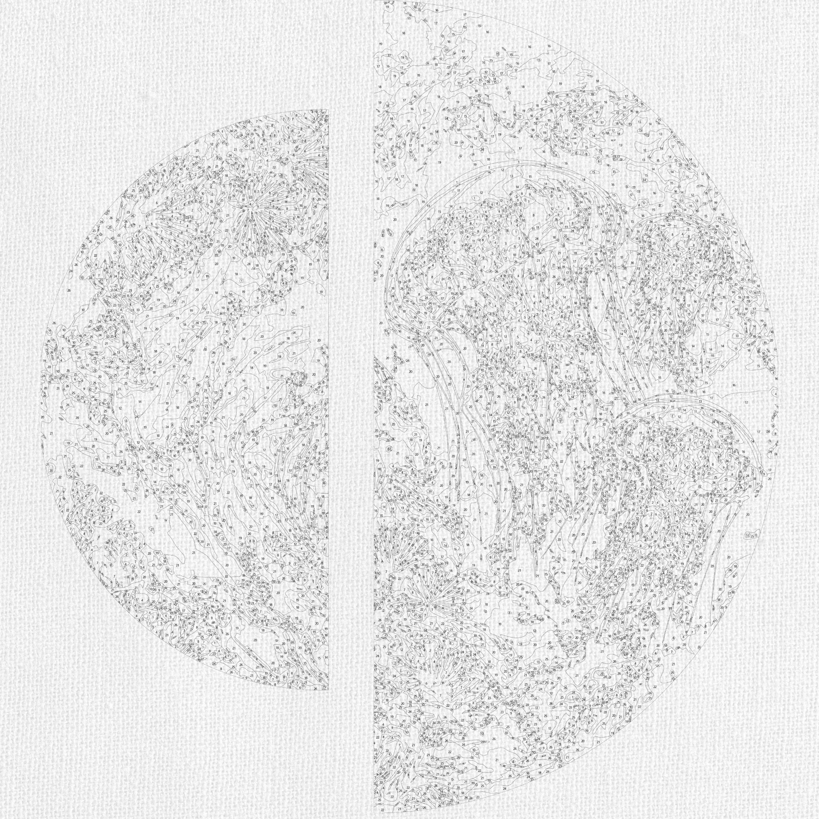 Maľovanie podľa čísel na ráme ⌀50 cm + ⌀70 cm - Hlbiny oceánu - Zvieratá s metalickými farbami - OSR 1014