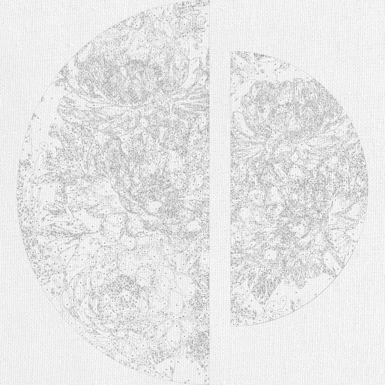 Maľovanie podľa čísel na ráme ⌀50 cm + ⌀70 cm - Broskyňové lupienky - Kvety - OSR 1018